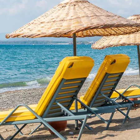 Hotel Sundia Exclusive By Liberty Adults Only